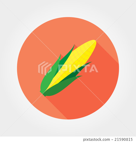 Corn. Flat icon. 21590815