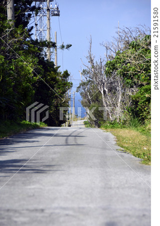 沖繩的道路 沖繩的道路 21591580