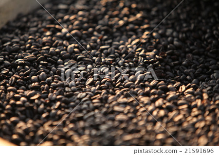 Drying coffee beans Drying coffee beans 21591696