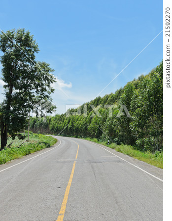 Green countryside road  21592270