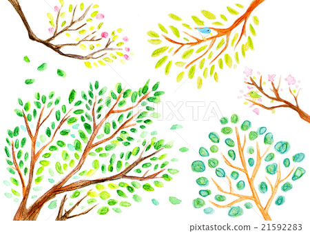 Fresh green branches Trees 21592283