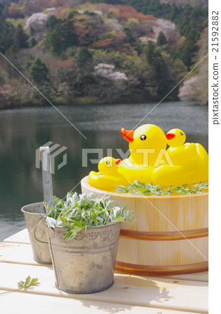 Wormwood bath Wormwood bath 21592882