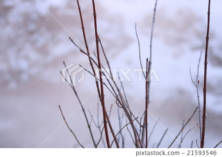 bathing bathing 21593546