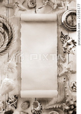 seashell  on wooden background 21595177