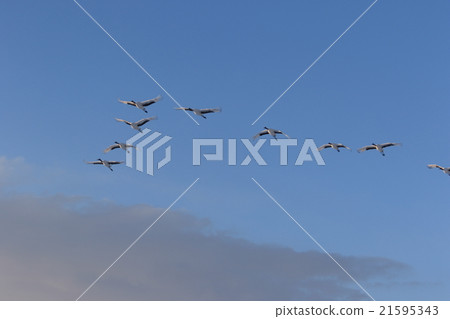 釧路村的釧路村 21595343