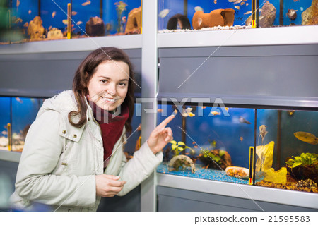 Positive female customer watching fish in aquarium tank Positive female customer watching fish in aquarium tank 21595583