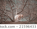 Beautiful girl in blooming spring garden 21596433