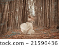 Beautiful girl in blooming spring garden 21596436