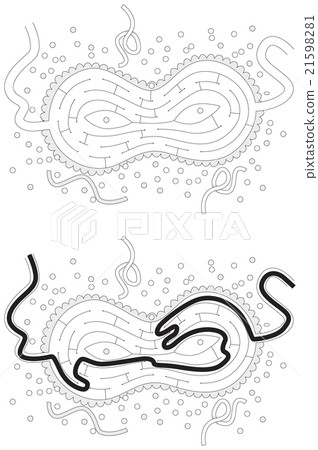 Carneval maze 21598281