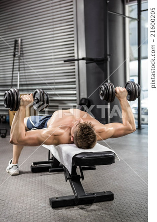 Shirtless man lifting heavy dumbbells on bench 21600205