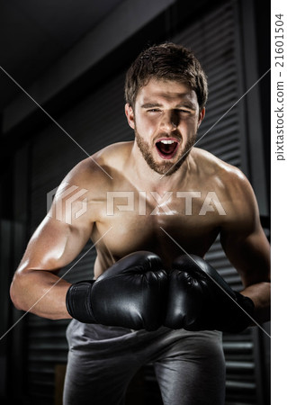 Shirtless man with boxe gloves shouting 21601504