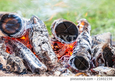 Closeup of hot burning firewood in campfire Closeup of hot burning firewood in campfire 21602150