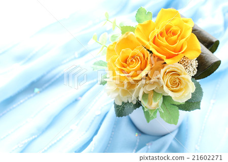 黃玫瑰·B 黃玫瑰·B 21602271