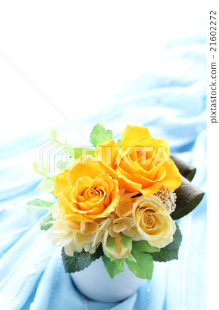 Yellow rose · B vertical 01 21602272