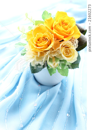Yellow rose · B vertical 02 21602273