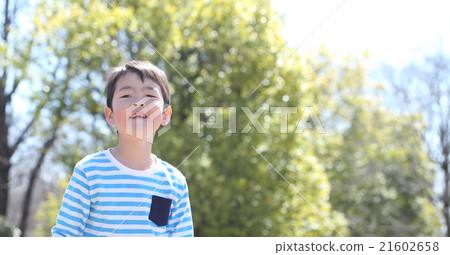 孩子們在公園裡玩 孩子們在公園裡玩 21602658