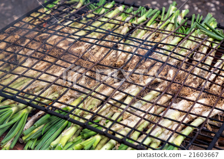 Calsot cooked on open fire 21603667