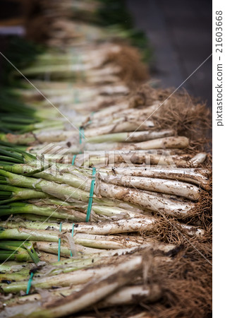 Calsot, typical Spanish food 21603668