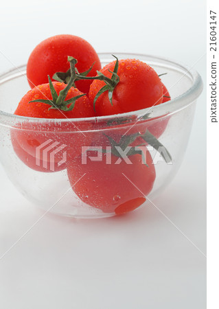 Tomato glass ball inclusive vertical position 21604147