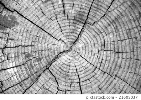 Wooden texture background. Wooden texture background. 21605037