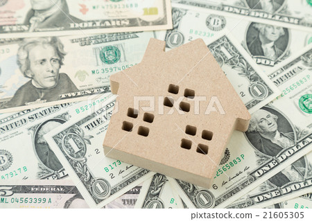 房子和美元圖像 21605305