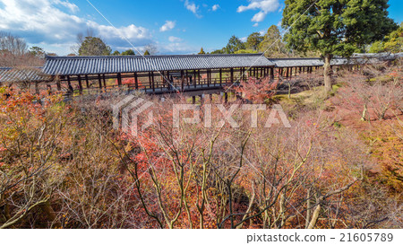 Autumn view of Kyoto Tofukuji 21605789