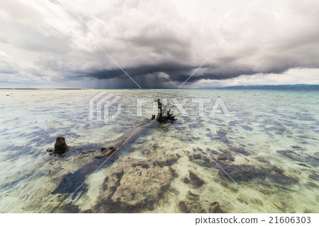 Tropical storm over transparent sea Tropical storm over transparent sea 21606303