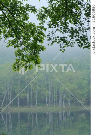 迷霧湖 迷霧湖 21606986