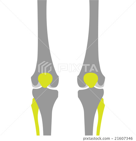 Flat Icon of Knee on White Background 21607346