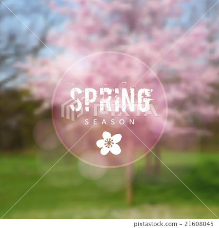 Spring background, blurred blossoming cherry trees Spring background, blurred blossoming cherry trees 21608045