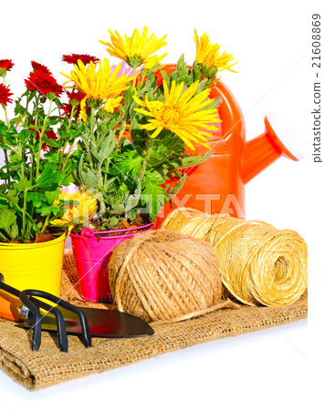 Garden tools, oaklings flowers on sacking 21608869