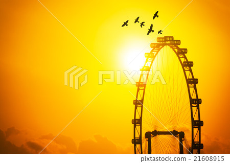Big flyer and birds in sunset, freedom and travel Big flyer and birds in sunset, freedom and travel 21608915