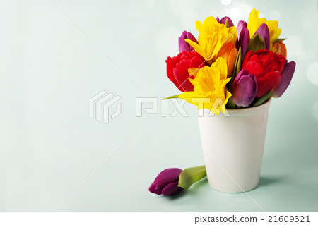 Spring flowers on blue background Spring flowers on blue background 21609321
