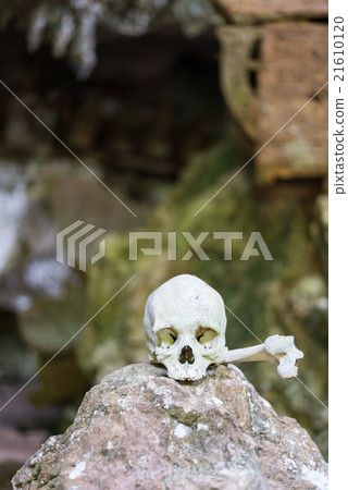 Traditional burial site in Tana Toraja 21610120