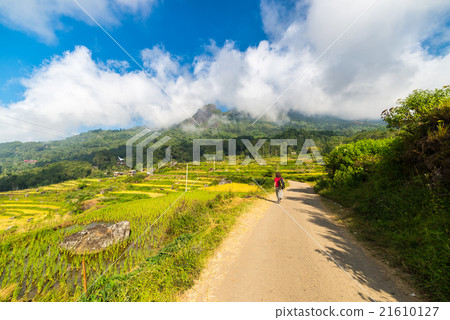 Stunning rice paddies exploration 21610127