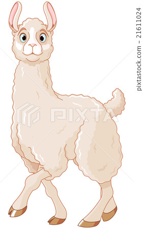 Lama 21611024
