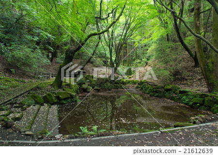 Takamori Saigo land of cultivation Takamori Saigo land of cultivation 21612639