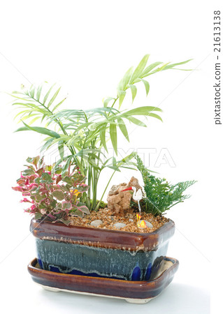 Miniature Garden in a Pot 21613138
