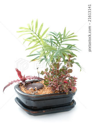 Miniature Garden in a Pot 21613141