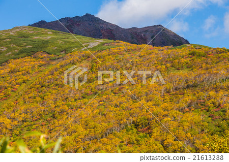 Mount Tom Lausi and autumn leaves. September Mount Tom Lausi and autumn leaves. September 21613288