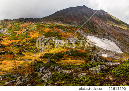 Mount Tomraussi and Tom Lauschi Park in autumnal leaves 1. September Mount Tomraussi and Tom Lauschi Park in autumnal leaves 1. September 21613290