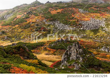 湯姆勞斯公園在秋葉3. 9月 21613294
