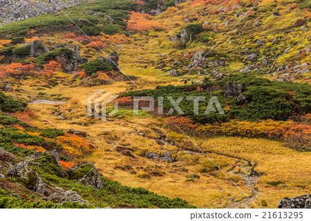 Tom Lauschi Park in autumnal leaves 4. September 21613295