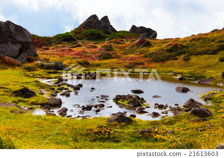 South soil of Tomurashi mountain. At Namseuma camp designated place 1. September South soil of Tomurashi mountain. At Namseuma camp designated place 1. September 21613603
