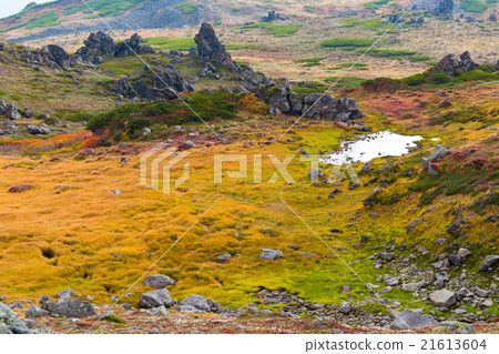 South soil of Tomurashi mountain. At Minaminuma camp designated location 2. September South soil of Tomurashi mountain. At Minaminuma camp designated location 2. September 21613604