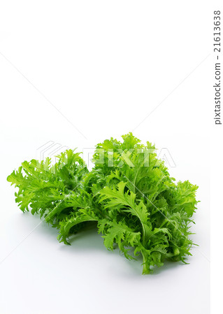 Wasabi greens 3 Wasabi greens 3 21613638