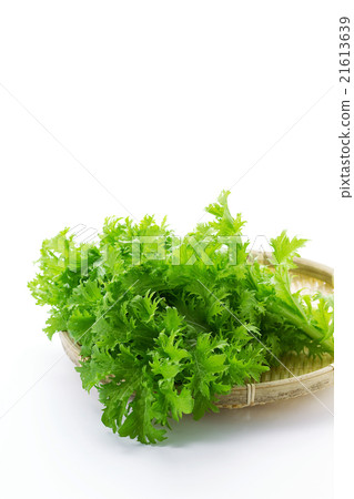 山葵果嶺4 21613639