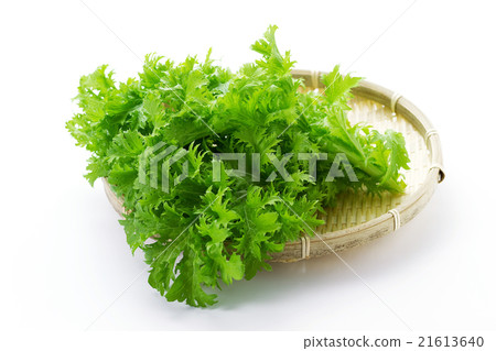 Wasabi greens 5 Wasabi greens 5 21613640