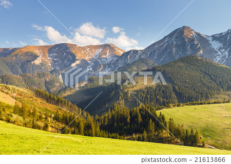 View of the Belianske Tatra Mountains, Slovakia 21613866