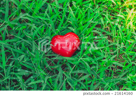 red heart in the hands 21614160